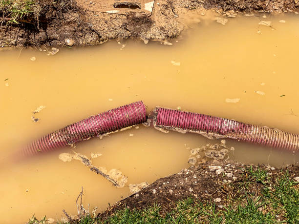 Best Crawl Space Water Damage Solutions in Browntown, PA